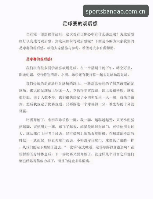 资深用户亲测：半岛体育赛事内容观看体验与实用心得全分享